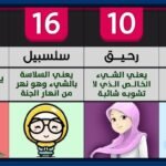 hq72077438763