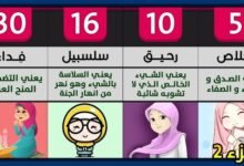 hq72077438763