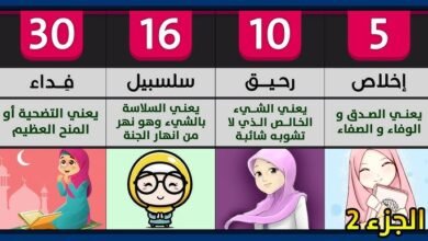 hq72077438763