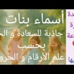 hqdefault505816489
