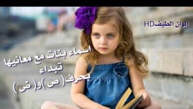 hqdefault782702917