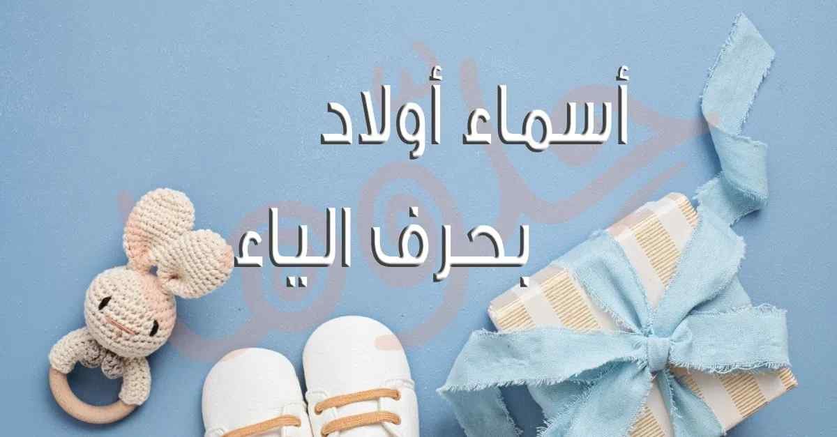 kngqyduixmk20 article 1908917975