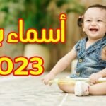 maxresdefault 1600776116