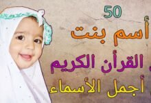 maxresdefault834919548