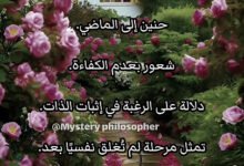 oar21143908146