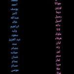 oar21242979103