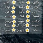 oar21943626845