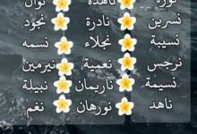 oar21943626845