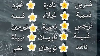 oar21943626845