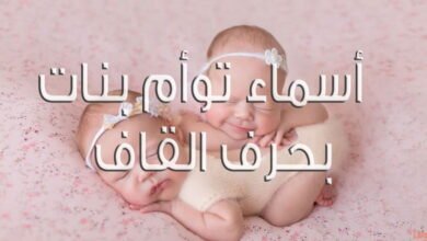 qhwmdtbakvs31 article1935794264