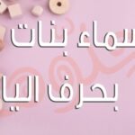 qyklmgkoivw64 article1686870111
