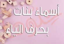 qyklmgkoivw64 article1686870111