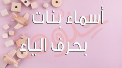 qyklmgkoivw64 article1686870111