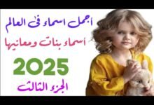 sddefault2007185625