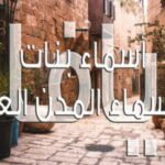 soncjfpqivx16 article2124418120