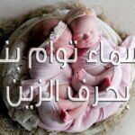 uczmrxkrwbw86 article1525552608
