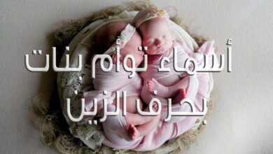 uczmrxkrwbw86 article1525552608