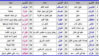 أسماء بنات بحرف العين من الأسماء التركية.webp