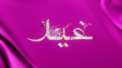 غيد 21365967955