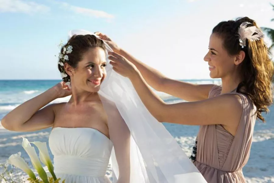 4853126 10808614071854251879.jpg