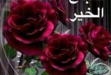 e487a4245debfe9843597fffb83ef4211545608036