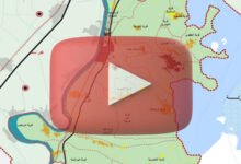 sharkeya cover map3 vid607813621