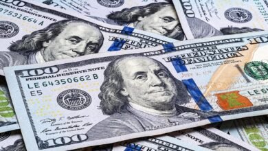 ثبات سعر الدولار مقابل الجنيه اليوم