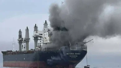 "تصور فني رقمي يظهر طائرات مسيرة (درونز) تقترب من سواحل مدينة أمريكية كبرى في كاليفورنيا وقت الغروب، مع وجود سفن مشبوهة في الأفق، يجسد تحذيرات أمنية من هجمات إيرانية على سواحل الولايات المتحدة في عام 2026."