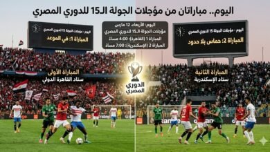 الدوري المصري