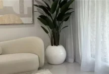 "تصميم داخلي لغرفة معيشة عصرية تعكس أحدث صيحات الديكور 2026، تتميز بأثاث ذو خطوط منحنية وألوان ترابية دافئة، مع دمج النباتات الطبيعية في الجدران وإضاءة شمسية ناعمة تتخلل الستائر الكتانية، توفر أجواء من الرفاهية الهادئة والاستدامة."