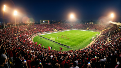 "رسم بياني يوضح نمو سلطة المجال لموقع الحريفة الرياضي لعام 2026، مع مؤشرات أداء خضراء تدل على تحسن السيو وزيادة عدد الزوار اللحظيين لصفحات البث المباشر."