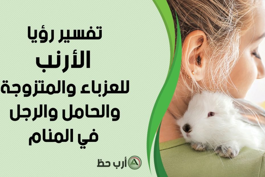 تحليل تفاصيل رؤية الأرنب في المنام - تطبيقات عملية لتحليل رؤية الأرنب في المنام