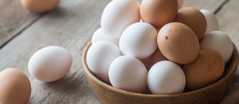 رؤية البيض المسلوق في الحلم وتفسيرها الشامل - مقدمة