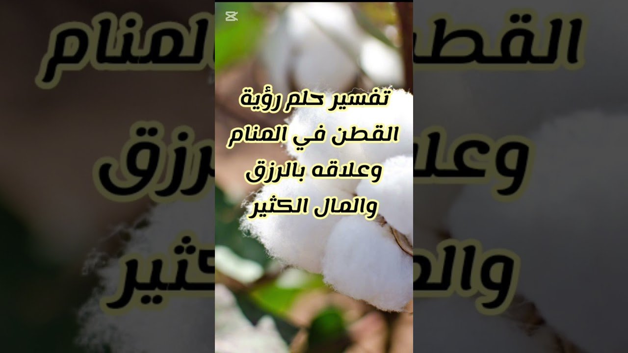 كل ما تحتاج إلى معرفته حول تفسير رؤية القطن في المنام - ما هي رؤية القطن في المنام؟