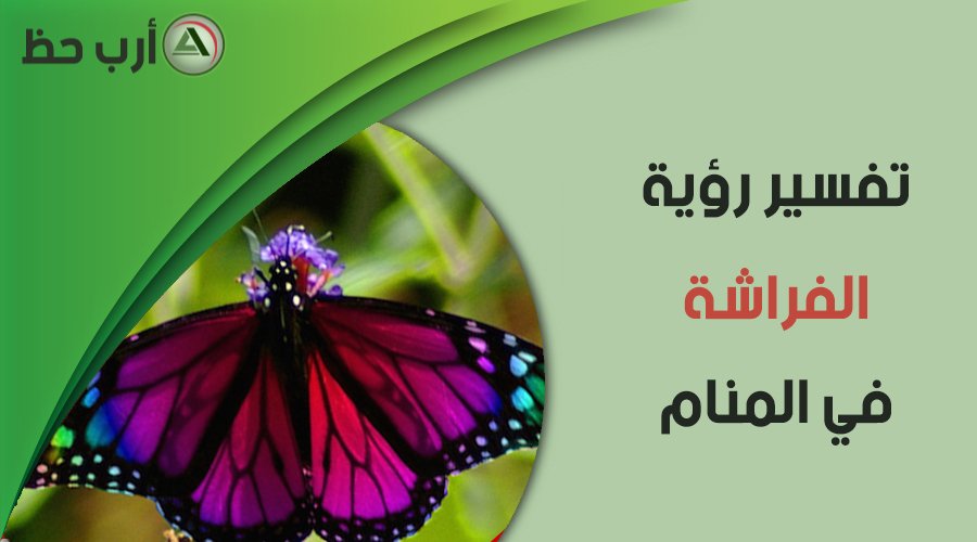 كيف يمكن استنتاج معاني رؤية الفراشة في المنام؟ - كيفية فهم رسائل الفراشة في الأحلام