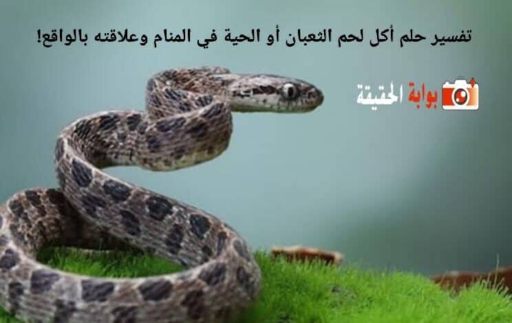 كيفية تفسير رؤية أكل لحم الثعبان في المنام؟ - الختام