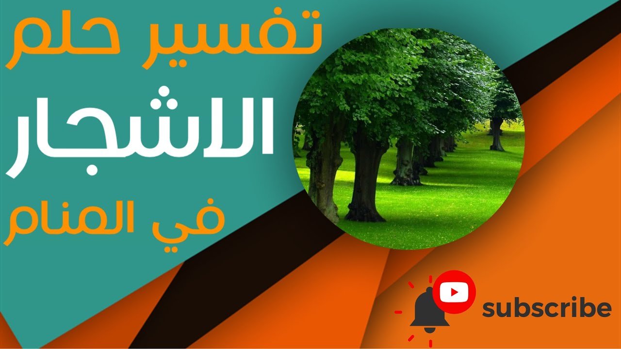 كيفية تفسير رؤية الأشجار في الحلم بشكل دقيق - الخطوات العملية لتفسير رؤية الأشجار في الحلم